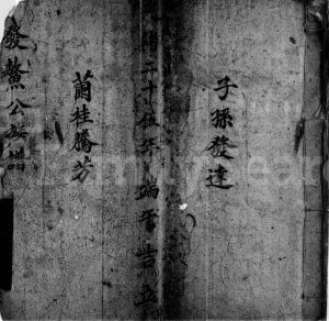 1980年修林氏发鳌公族谱第三房 广东东莞 香港林姓电子版家谱下载