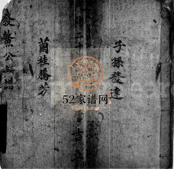 1980年修林氏发鳌公族谱第三房 广东东莞 香港林姓电子版家谱下载