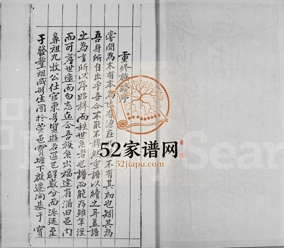 1870年修石埔村[林氏]族谱 广东东莞 香港林姓电子版家谱下载