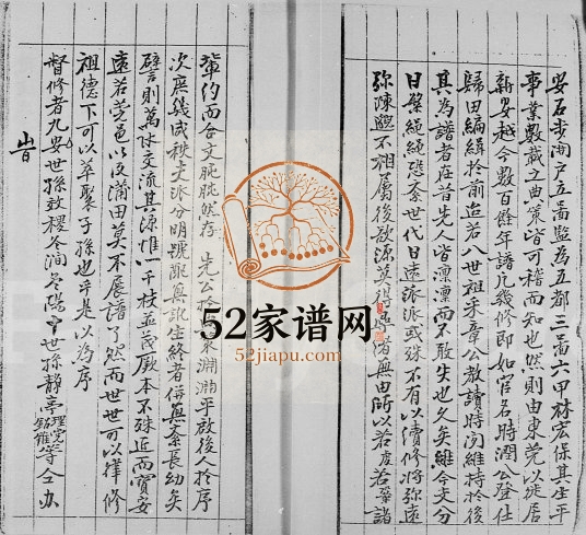 1870年修石埔村[林氏]族谱 广东东莞 香港林姓电子版家谱下载