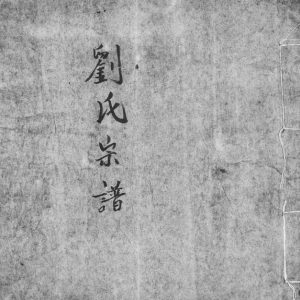 1919年修刘氏宗谱大陆老谱 广东兴宁 台湾新竹刘姓电子版族谱下载
