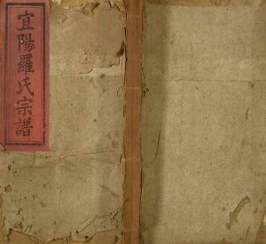 1911年宜阳罗氏续修宗谱 广东兴宁豫章堂罗姓电子版族谱下载