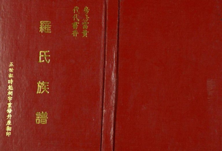 1993年罗氏族谱 广东惠东罗姓电子版家谱下载