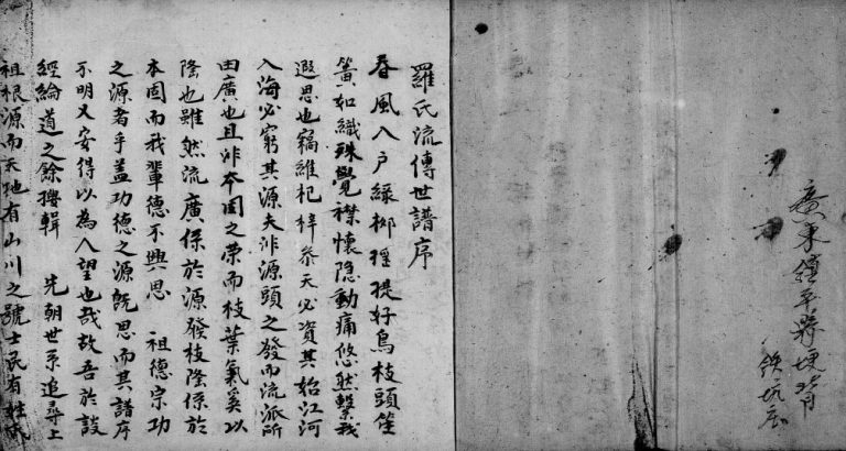 1982年修罗氏宗谱[不分卷]广东镇平 台湾 桃园中坜罗姓电子版族谱下载