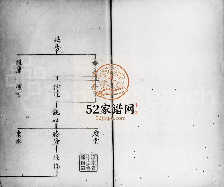1920年[顺德杨滘马氏宗谱] 广东马姓电子版族谱下载