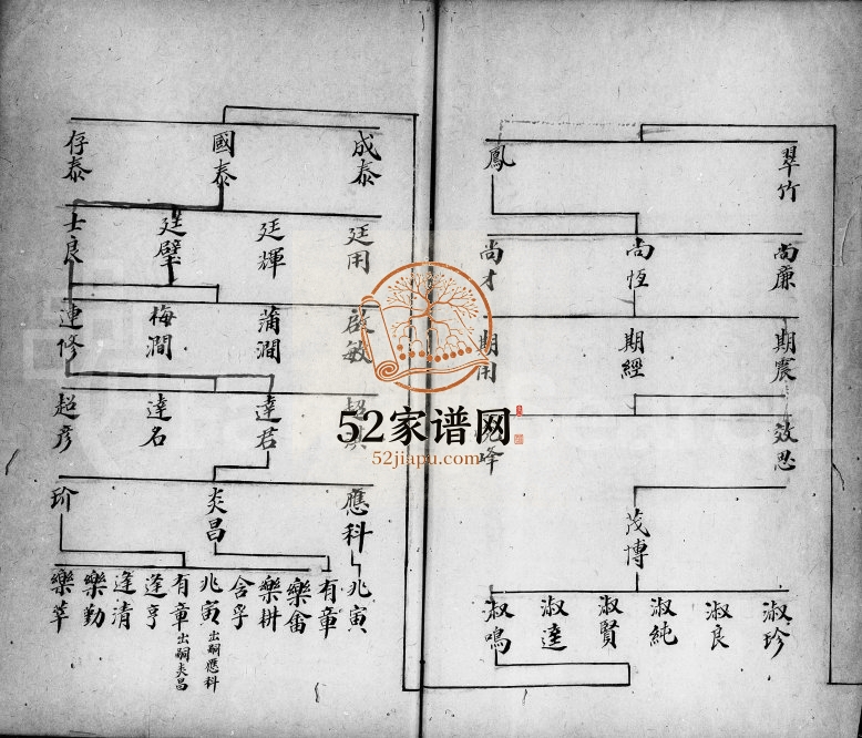 1920年[顺德杨滘马氏宗谱] 广东马姓电子版族谱下载