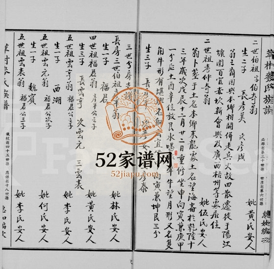 1955年修莘村麦氏族谱 广东开平 香港麦姓电子版家谱下载