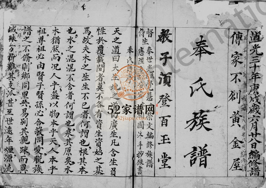 1850年修奉氏川渠支派族谱 四川渠县 蓬安奉姓电子版家谱下载