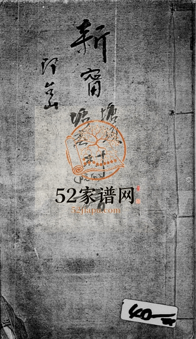新宁塘头塘基村阮氏谱 广东台山阮姓电子版族谱下载