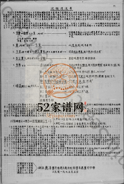 1975年修宝安县观澜乡沈氏族谱 广东深圳沈姓电子版家谱下载
