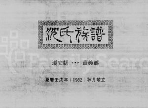 1982年修沈氏族谱 广东潮安 香港沈姓电子版家谱下载