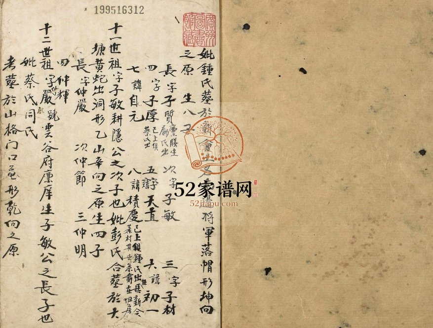 1949年修孙氏族谱 广东广州 彭村一带 新会孙姓电子版家谱下载