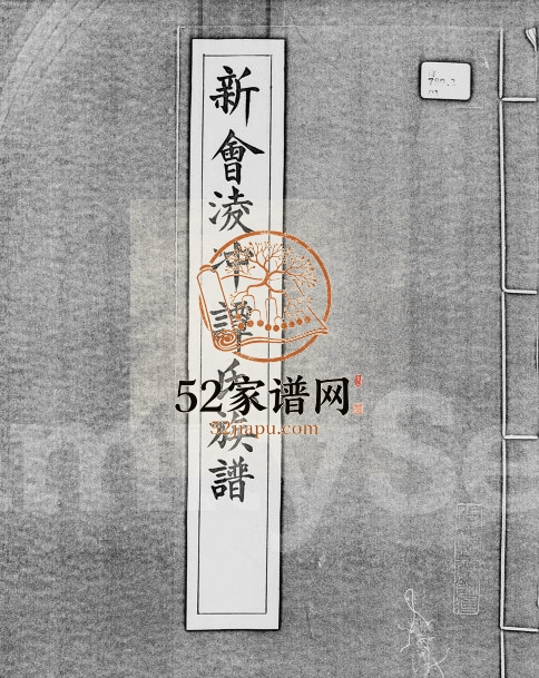 1930年修新会凌冲谭氏族谱 广东谭姓电子版家谱下载
