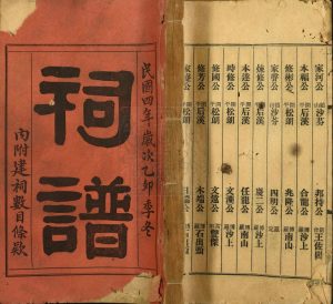 1915年修佛山谭怡怡堂祠谱不分卷 广东谭姓电子版族谱下载
