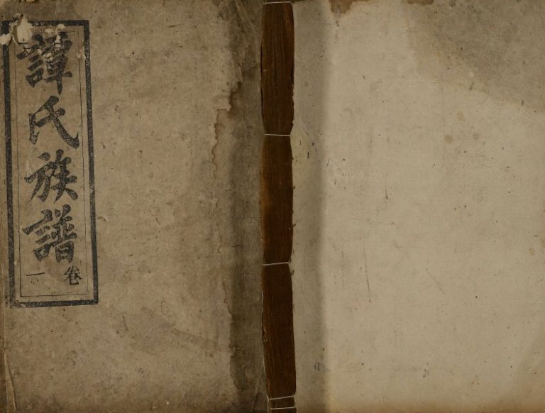 1878年续修谭氏族谱[5卷]广东兴宁壹本堂谭姓电子版家谱下载