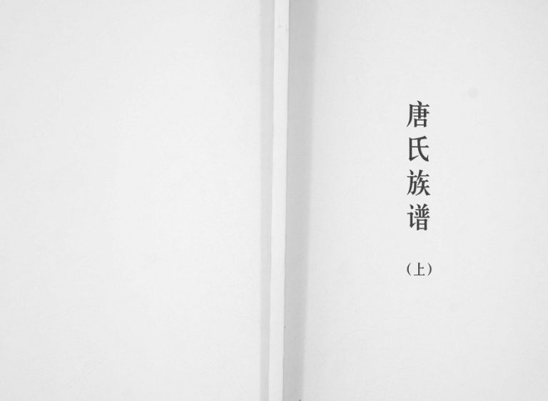 2010年修唐氏族谱 广东五华唐姓电子版家谱下载