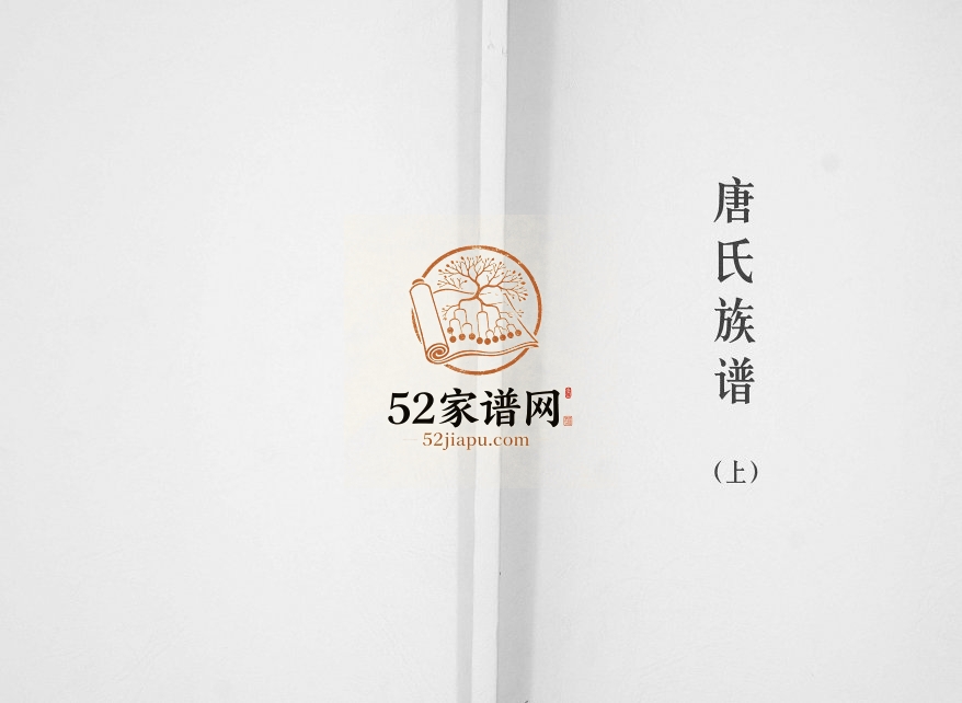 2010年修唐氏族谱 广东五华唐姓电子版家谱下载