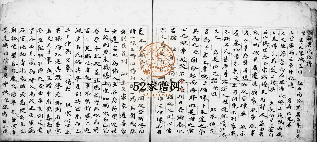 1724年修白石唐氏族谱 广东新会唐姓电子版家谱下载