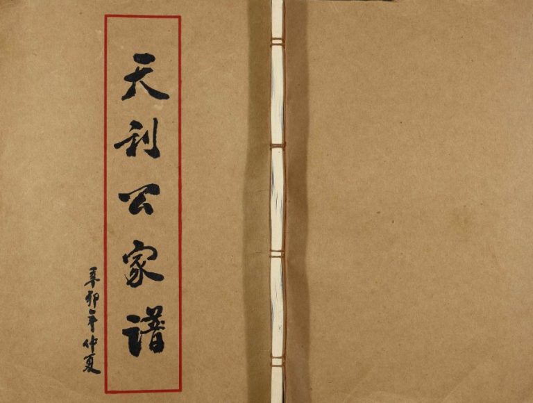 2011年修下尾王氏族谱 广东揭阳王姓电子版家谱下载