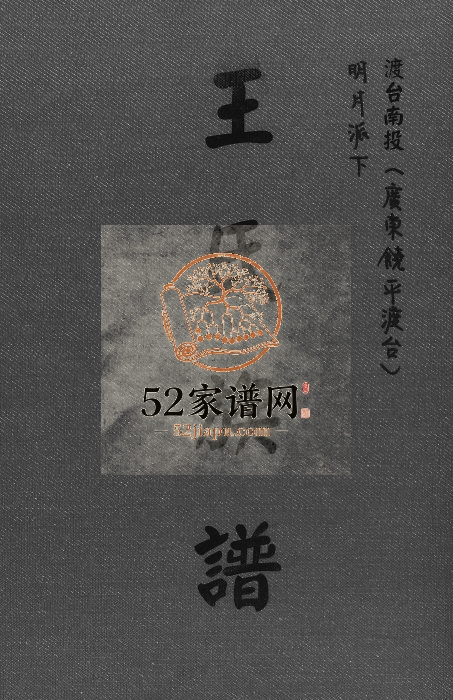 2012年修王氏族谱 广东饶平 台湾 南投王姓电子版家谱下载
