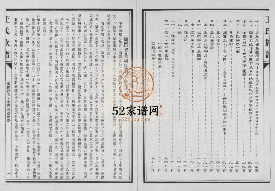 1900年修王氏族谱克照公派 广东饶平 台湾 桃园 南嵌 中坜 平镇王姓电子版家谱下载