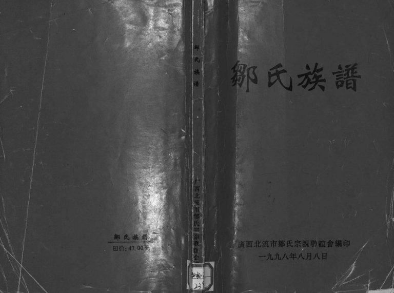 1998年重修邹氏族谱 广东龙川 紫金 广西北流邹姓电子版家谱下载
