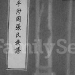 1979年修开平沙冈张氏族谱 广东张姓电子版家谱下载