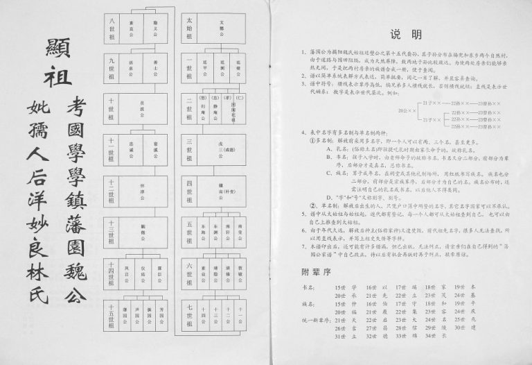 2004年修[魏氏]藩园公家谱 广东揭阳魏姓电子版族谱下载