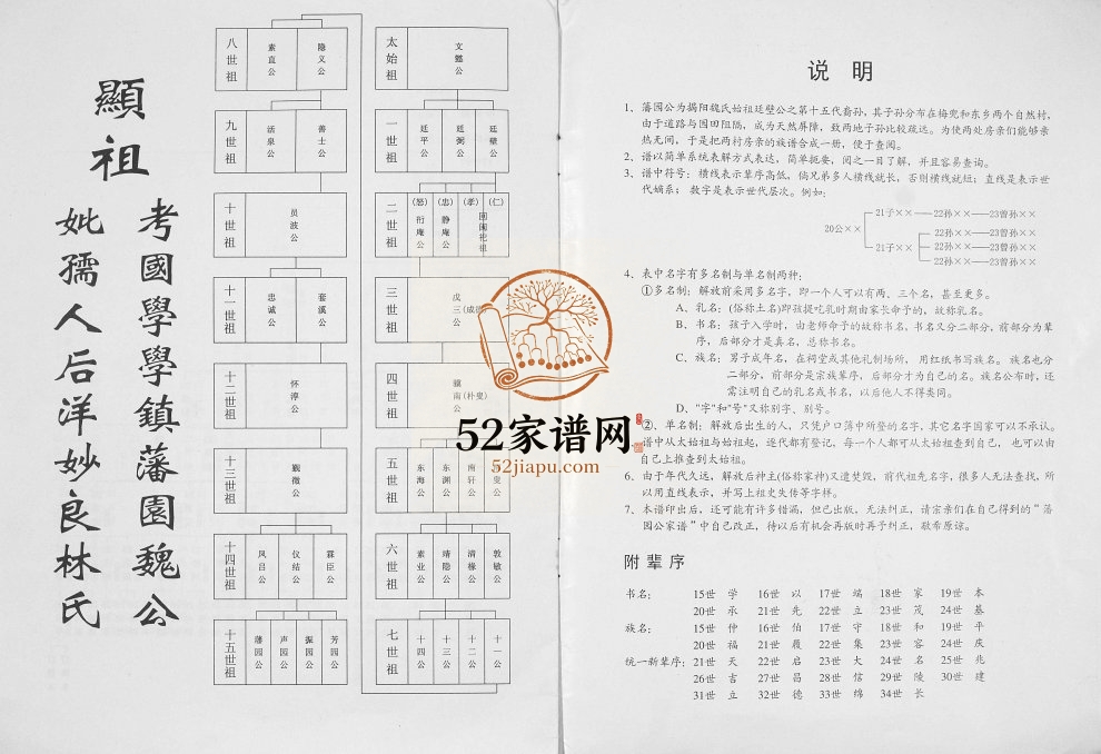 2004年修[魏氏]藩园公家谱 广东揭阳魏姓电子版族谱下载