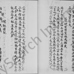 1966年新界榕树澳村温氏族谱 广东 香港温姓电子版家谱下载