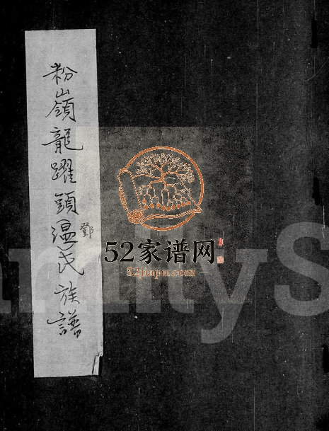 1686年修粉岭龙跃头温氏族谱 广东东莞 香港温姓电子版家谱下载