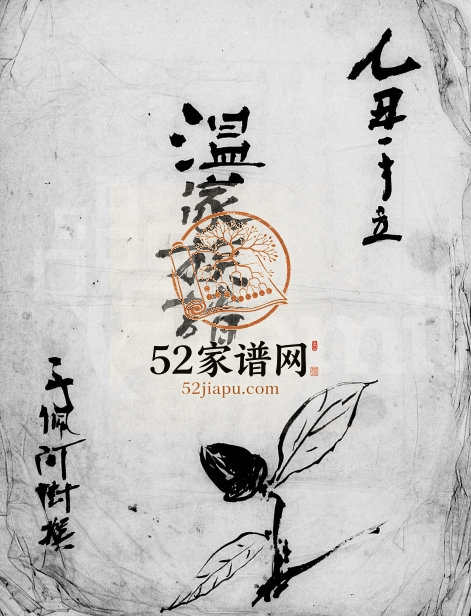 1925年修温家族谱 广东五华 陆丰 台湾桃园电子版家谱下载