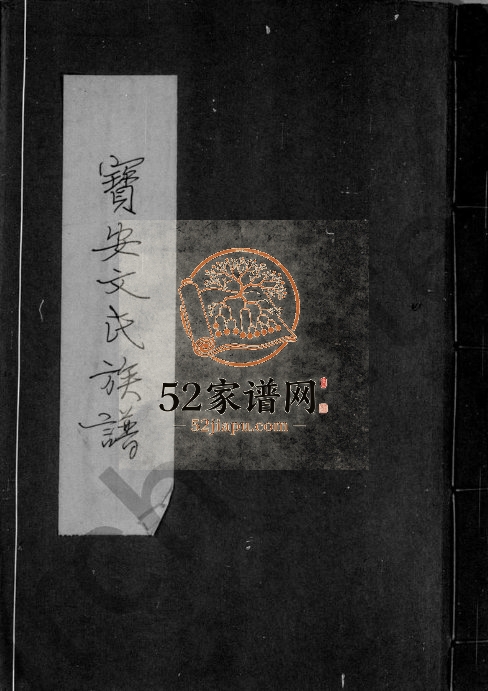 1910年修宝安文氏族谱 广东深圳文姓电子版家谱下载