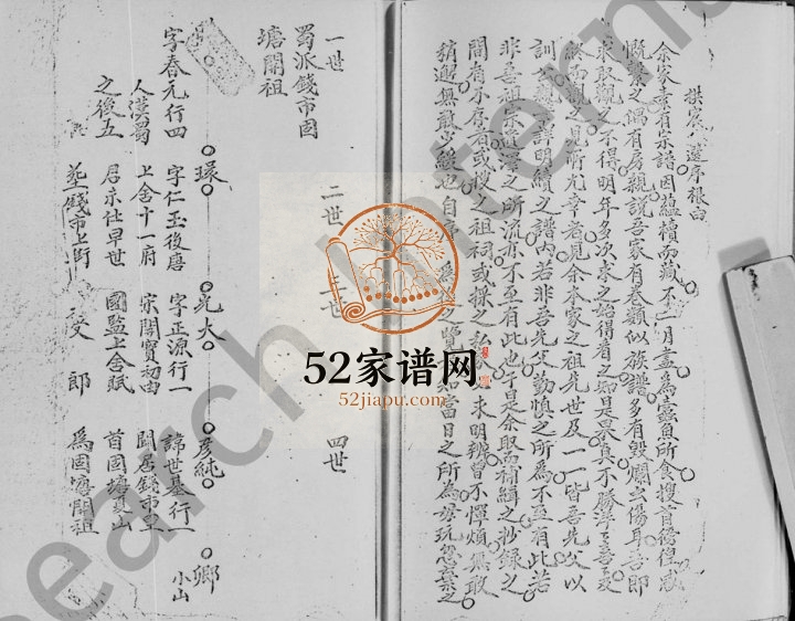 1910年修宝安文氏族谱 广东深圳文姓电子版家谱下载