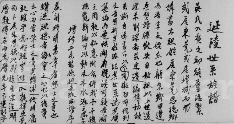 1971年修延陵世系族谱吴氏族谱 广东东莞 深圳 香港吴姓电子版家谱下载