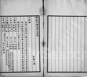 1942年修香港新界(新安)沙头吴氏族谱 广东深圳吴姓电子版家谱下载