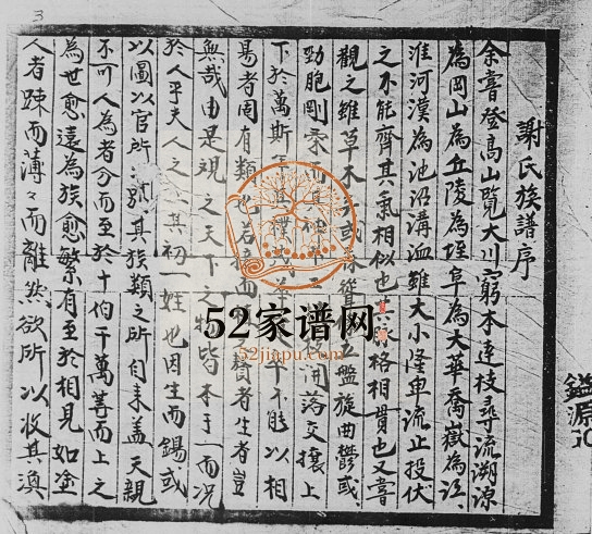 1950年修[谢氏]家族簿 广东梅县 台湾苗栗谢姓电子版族谱下载