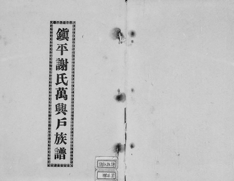 1960年修镇平谢氏万兴户族谱 广东蕉岭 台湾苗栗谢姓电子版家谱下载