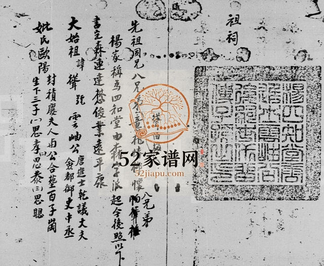 荃湾油金头村杨氏族部 广东深圳 香港杨姓电子版族谱下载