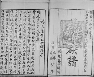 杨氏族谱 广东深圳 香港杨姓电子版家谱下载