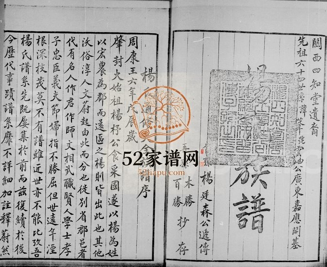 杨氏族谱 广东深圳 香港杨姓电子版家谱下载
