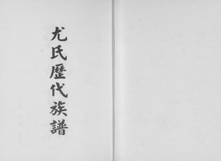 2008年修尤氏历代族谱 广东大埔 台湾丰原尤姓电子版家谱下载