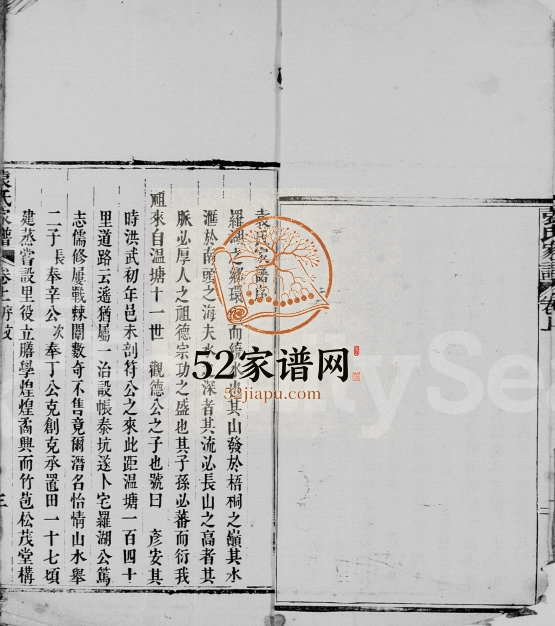 1909年修罗湖袁氏家谱 广东 香港袁姓电子版族谱下载