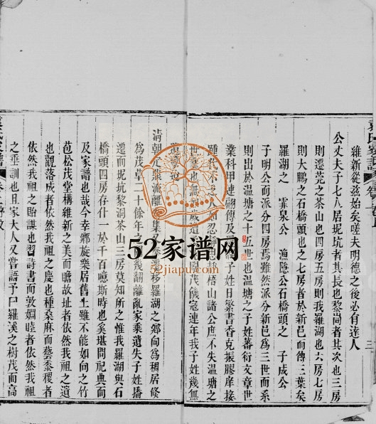 1909年修罗湖袁氏家谱 广东 香港袁姓电子版族谱下载