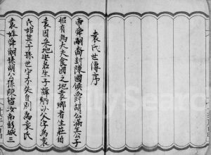 1890年修袁氏族谱 广东袁姓电子版家谱下载