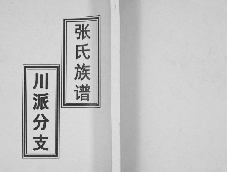 1919年张氏族谱川派分支 广东兴宁 四川隆昌张姓电子版家谱下载