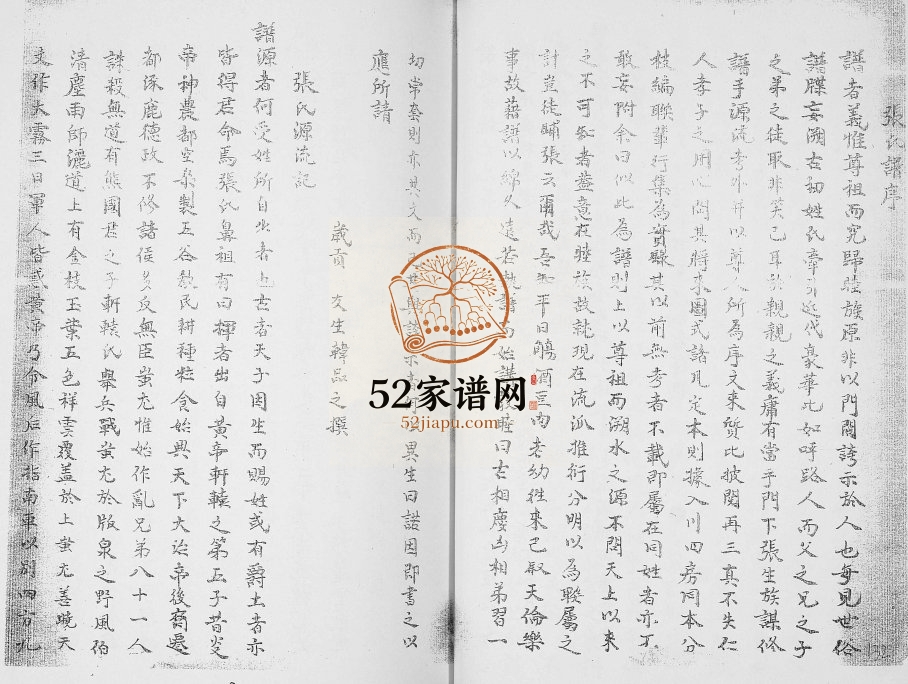 1919年张氏族谱川派分支 广东兴宁 四川隆昌张姓电子版家谱下载