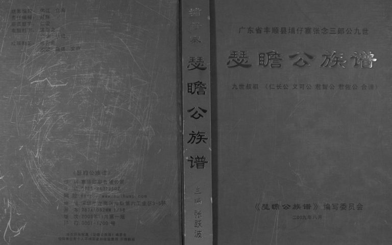 2009年修[张氏]埔仔寨张念三公郎九世瑟瞻公族谱 广东丰顺张姓电子版家谱下载