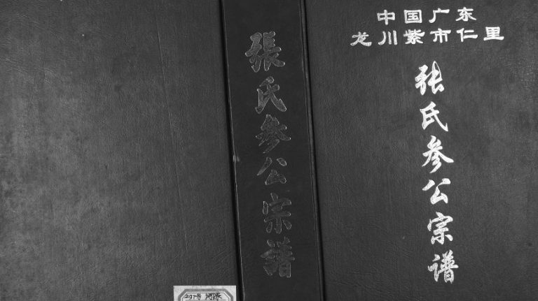 2001年修中国广东龙川紫市仁里张氏参公宗谱 清河堂张姓电子版族谱下载