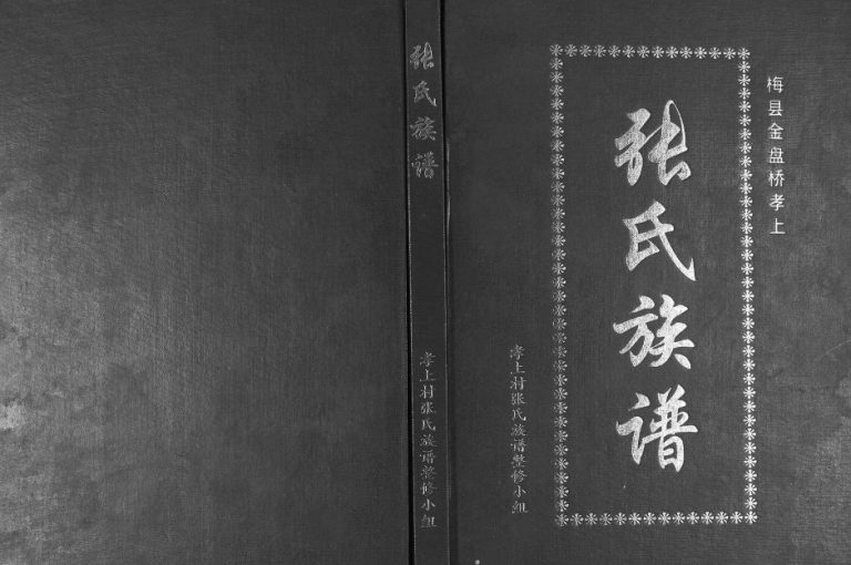 2010年修梅县金盘桥孝上张氏族谱 广东张姓电子版家谱下载